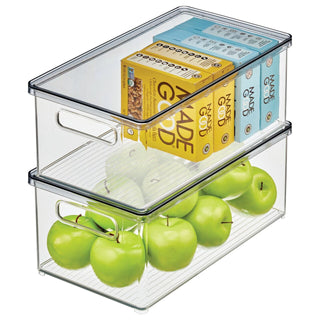 Plastic Storage Organizer Bins with Smoked Lids (2-Pack)