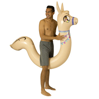 Llama Ride-On Pool Noodle