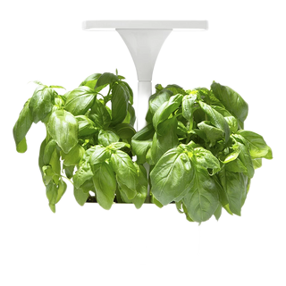 Short Stories LED Planter