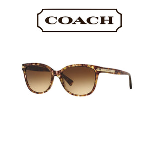 Lunettes de soleil écaille mouchetées