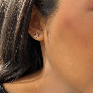 Holiday Sparkle Earrings