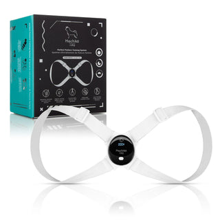 Hachiko Tech posture correction tool Improved posture device Posture correction for better health